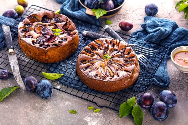 Nahaufnahme Von Köstlichen Süßen Obstkuchen Mit Federn — Stockfoto