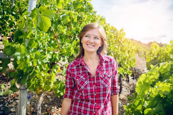 美しい笑顔の少女がブドウ畑で赤ブドウを収穫 — ストック写真
