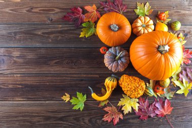 Taze olgun balkabaklarının, mısırların, domateslerin, kestanelerin ve sonbahar yapraklarının ahşap masadaki üst görüntüsü.