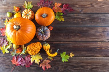 Taze olgun balkabaklarının, mısırların, domateslerin, kestanelerin ve sonbahar yapraklarının ahşap masadaki üst görüntüsü.