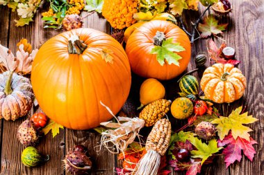 Taze olgun balkabakları, mısır, sonbahar yaprakları, domates ve kestaneler ahşap masada.
