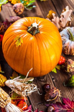 Taze olgun balkabaklarının, mısırların, sonbahar yapraklarının, domateslerin ve kestanelerin ahşap yüzeyde yakın plan görüntüsü 