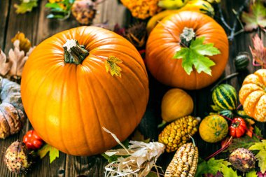 Taze olgun balkabaklarının, mısırların, sonbahar yapraklarının, domateslerin ve kestanelerin ahşap yüzeyde yakın plan görüntüsü