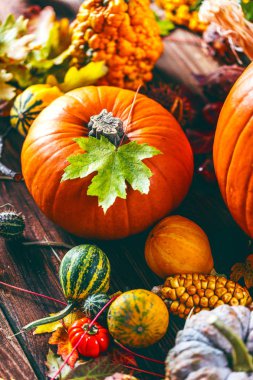 Taze olgun balkabaklarının, mısırların, sonbahar yapraklarının, domateslerin ve kestanelerin ahşap yüzeyde yakın plan görüntüsü