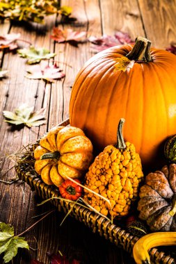 Taze olgun balkabaklarının ahşap masada sepetlenmiş yakın plan görüntüsü.