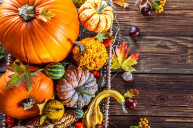 Tahta yüzeyde taze olgun balkabaklarının üst görüntüsü