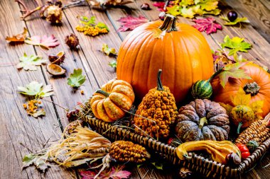 Taze olgun balkabaklarının, sonbahar yapraklarının, tahtadan yüzeyde mısırların ve domateslerin yakın plan görüntüsü. 