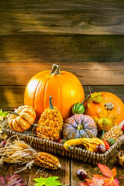 Taze olgun balkabaklarının, sonbahar yapraklarının, tahtadan yüzeyde mısırların ve domateslerin yakın plan görüntüsü. 