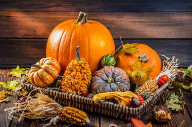 Taze olgun balkabaklarının, mısır ve domateslerin ahşap yüzeyde yakın plan görüntüsü. 