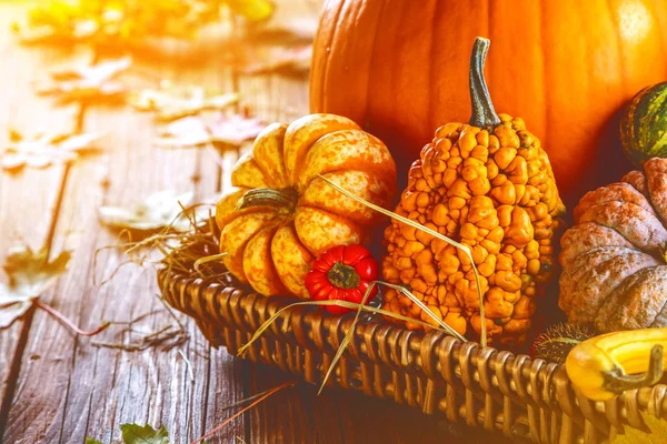 Close View Fresh Ripe Whole Pumpkins Basket Wooden Surface — Stock Photo, Image