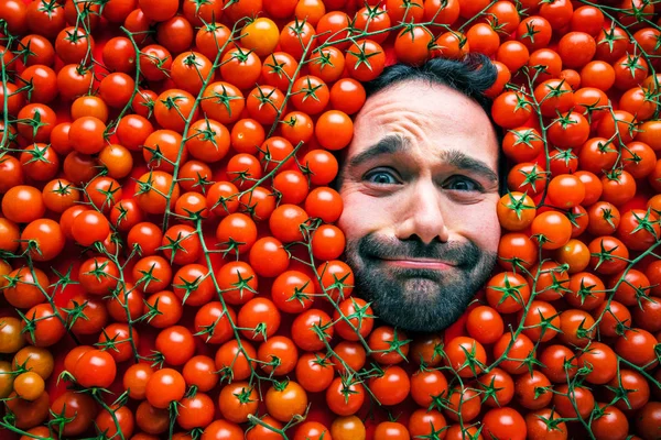 Hombre Con Tomates Concepto Para Industria Alimentaria Rostro Del Hombre —  Fotos de Stock
