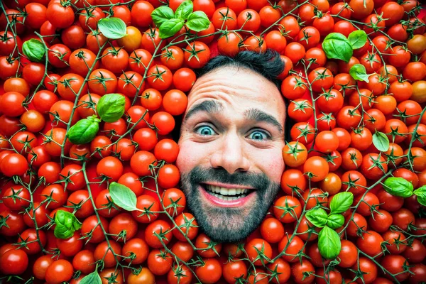 Hombre Con Tomates Concepto Para Industria Alimentaria Rostro Del Hombre —  Fotos de Stock