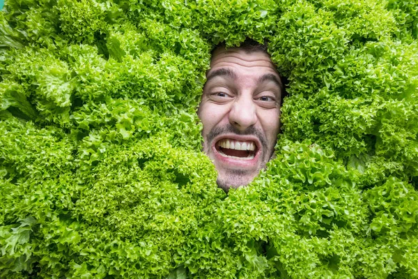 Человек Листьями Салата Концепция Пищевой Промышленности Лицо Смеющегося Человека Салатной — стоковое фото