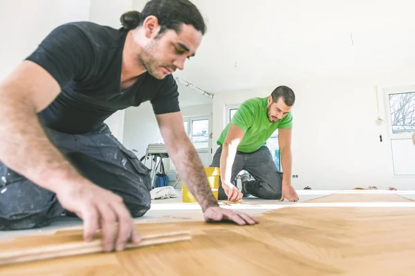 Trabalhadores Focados Instalação Piso Parquet Carvalho Durante Melhoria Casa — Fotografia de Stock