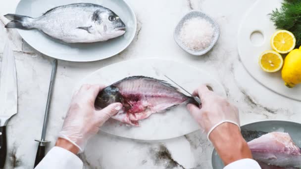 Recortado Tiro Chef Con Guantes Cocinar Delicioso Pescado — Vídeo de stock