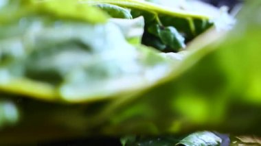 Köy yüzeyinde yeşil yapraklı taze olgun organik pancarların yakın çekimi.