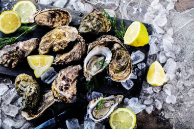 Gri yüzeyinde buz küpleri ve limonlu lezzetli istiridyelerin yakın plan görüntüsü.  