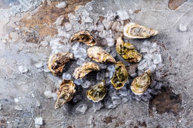 Gri yüzeyde buz küplerindeki lezzetli istiridyelerin üst görüntüsü