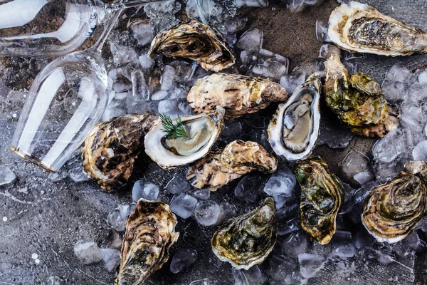 Nahaufnahme Köstlicher Austern Auf Eiswürfeln Und Weingläsern — Stockfoto