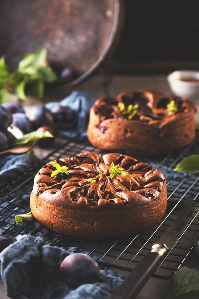 Close View Gourmet Sweet Fruit Pies Plums Table — Stock Photo, Image