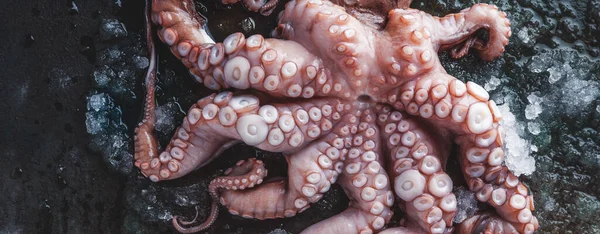 Top View Delicious Fresh Octopus Ice Grey Background — Stock Photo, Image