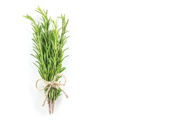 Fresh Green Rosemary Herbs White Background — Stock Photo, Image