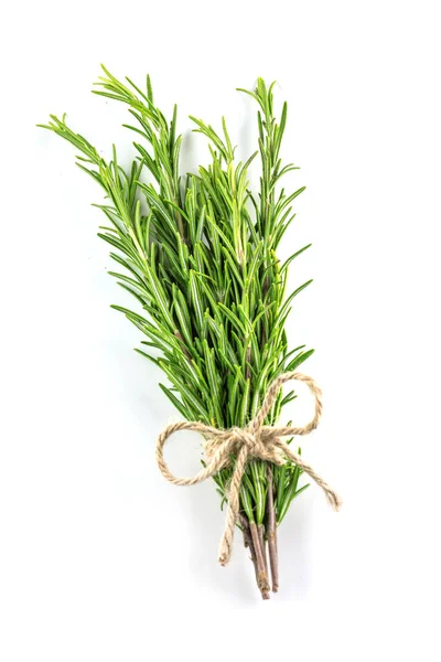 Fresh Green Rosemary Herbs White Background Stock Photo