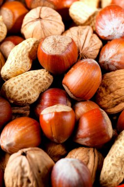 Sağlıklı organik fındıklara yakın çekim