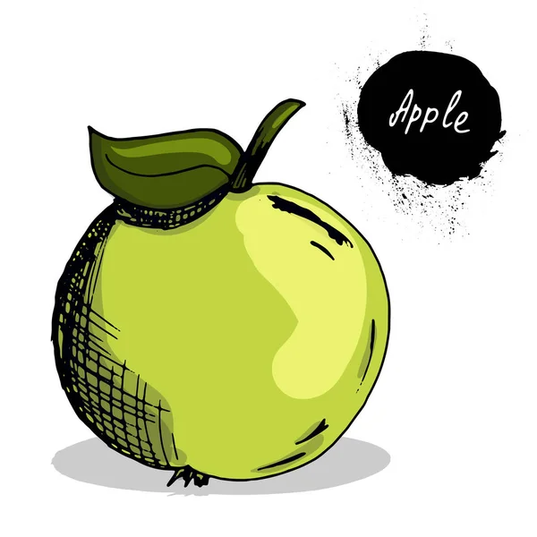 Vruchten en bessen. Groeiende vitaminen. Goede maaltijden. Schets. een Apple Hand-tekening. Afdrukken, voor T-shirts. Voor uw ontwerp. — Stockvector