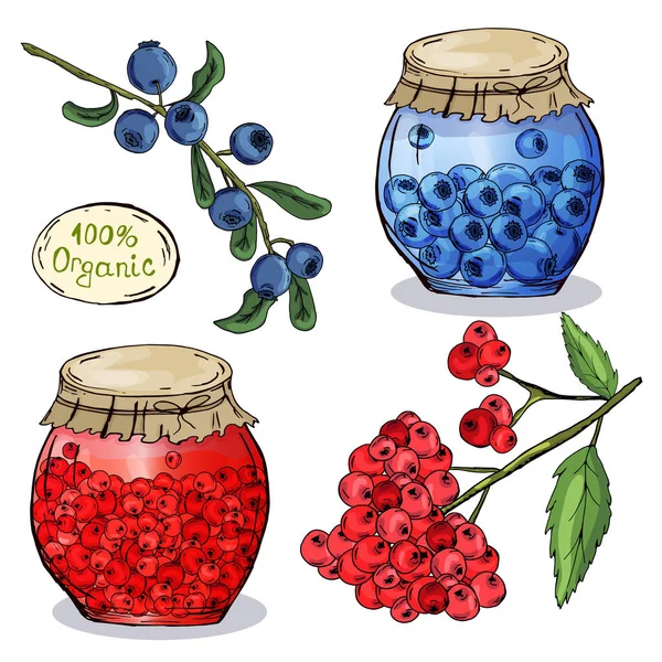Vasi decorativi con marmellata. Sottaceti. Blanks per l'inverno. Disegno a mano. Per il tuo design . — Foto Stock