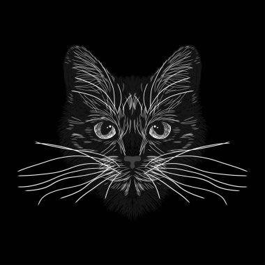 Kedi sivilceli olduğunu. Çizgili. Siyah ve beyaz eskiz. Vektör grafikleri. Kıyafetler, t-shirtler için parmak izi. Tasarımlarınız için.