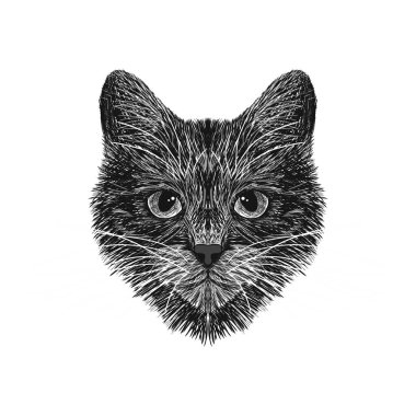 Kedi sivilceli olduğunu. Çizgili. Siyah ve beyaz eskiz. Vektör grafikleri. Kıyafetler, t-shirtler için parmak izi. Tasarımlarınız için.