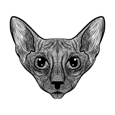 Sfenks. Kedi sivilceli olduğunu. Çizgili. Siyah ve beyaz eskiz. Vektör grafikleri. Kıyafetler, t-shirtler için baskılar.