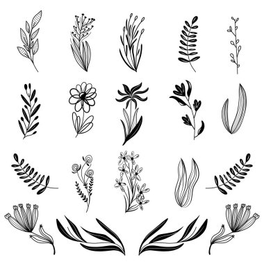 Çiçek kümesi. Sulak. Güzel tasarım öğesi için davetiye düğün, doğum günü. Kartpostal tasarımı için. Siyah. El çizimi. Çerçeve.