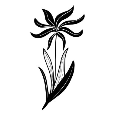 Çiçek kümesi. Sulak. Güzel tasarım öğesi için davetiye düğün, doğum günü. Kartpostal tasarımı için. Siyah. El çizimi. Çerçeve.