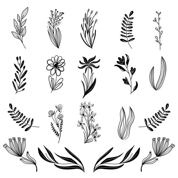 Bloem set. Herbarium. Mooi design element voor uitnodigingen voor de bruiloft, verjaardag. Voor briefkaart ontwerp. De zwarte. Hand tekenen. Frame. — Stockvector