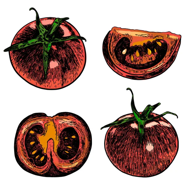 Esboço realista de tomates. Legumes. O preto. Botânica. Para o seu design . —  Vetores de Stock