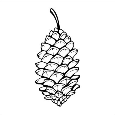 Farklı pulları ve sivri uçlu bir çam kozalağının detaylı bir çizimi. Tasarım basit ve monokromatik, koninin doğal şeklini vurguluyor..