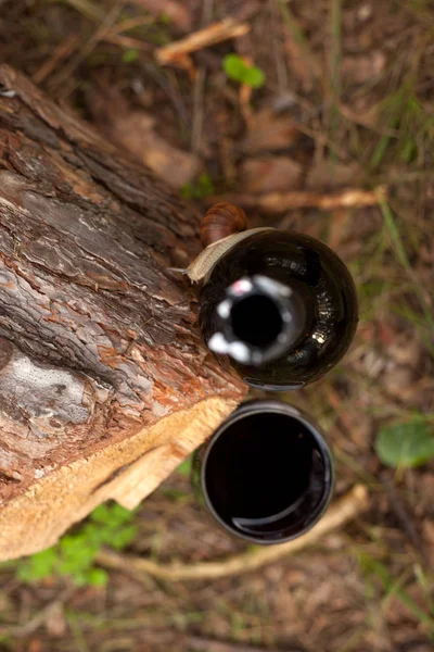 Snigel Vinflaskan Skogen — Stockfoto