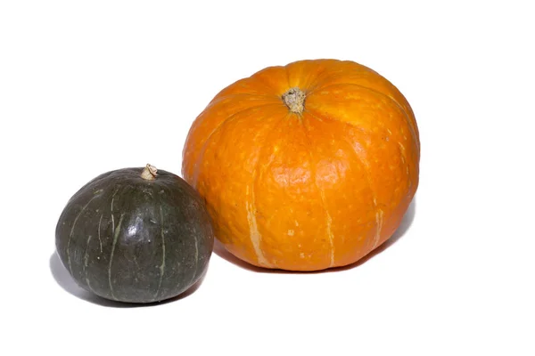 Two Pumpkins Isolated White Background — Stock Photo, Image