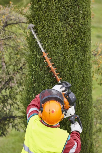 Operaio Equipaggiato Che Potava Albero Una Gru Lavori Giardinaggio — Foto Stock