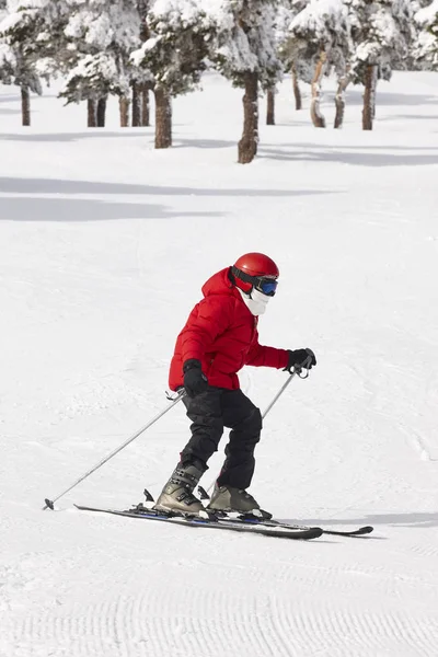 Ski Sur Une Pente Forêt Paysage Montagne Blanc Sport Hiver — Photo