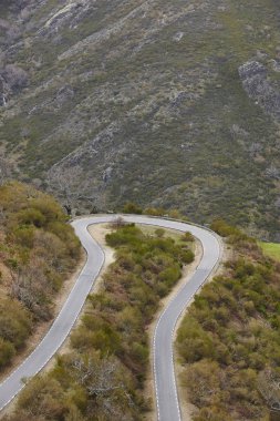Boş eğri asfalt dağ yolu. Kırsal manzara seyahat. Dikey