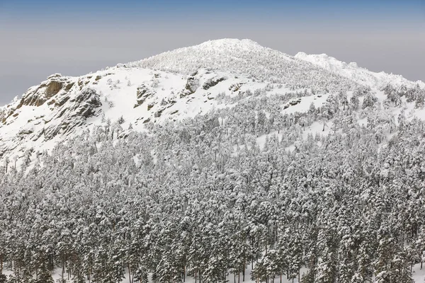 Kış dağ orman karlı manzarası. Navacerrada, İspanya. Yatay