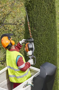Donanımlı işçisi budama ağaca bir vinç. Bahçe işleri