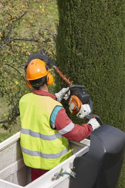 Donanımlı işçisi budama ağaca bir vinç. Bahçe işleri