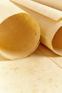 Eski boş haddelenmiş parşömen yaşlı. Antika belge. Vintage el yazması. Dikey