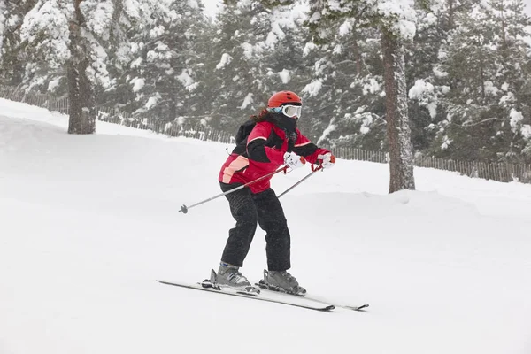 Bir Kar Orman Manzara Üzerinde Kayak Kış Spor Yatay — Stok fotoğraf