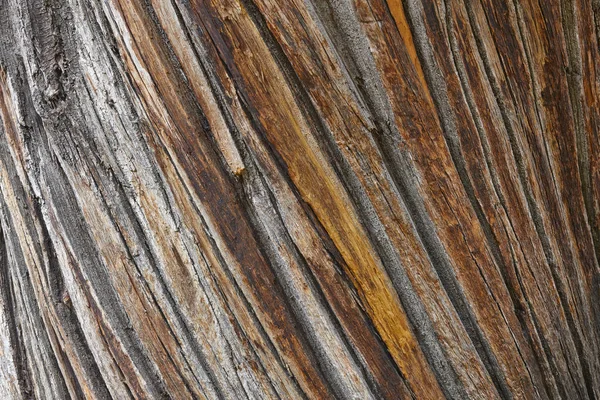 Tronco Árbol Corteza Fondo Texturizado Natural Madera Horizontal — Foto de Stock