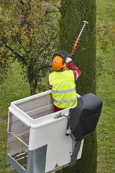 Trabajador Equipado Poda Árbol Una Grúa Trabajos Jardinería — Foto de Stock